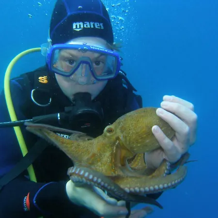 Apartment The Beachfront Old Town *