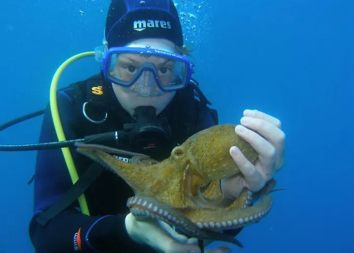 Διαμέρισμα The Beachfront Old Town *